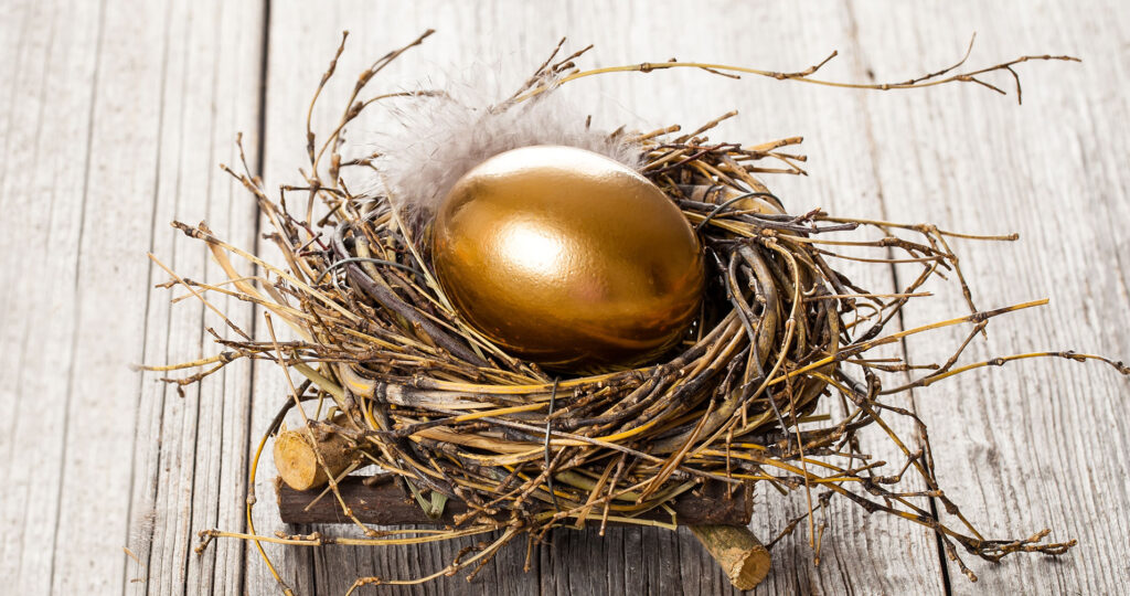 Golden egg in a nest