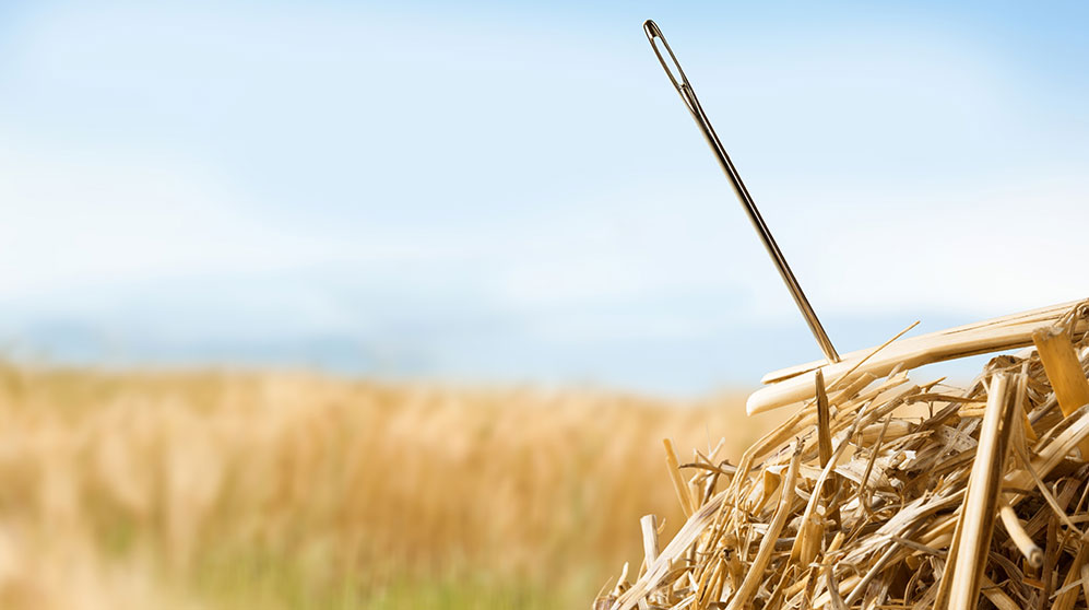 needle sticking prominently from a haystack